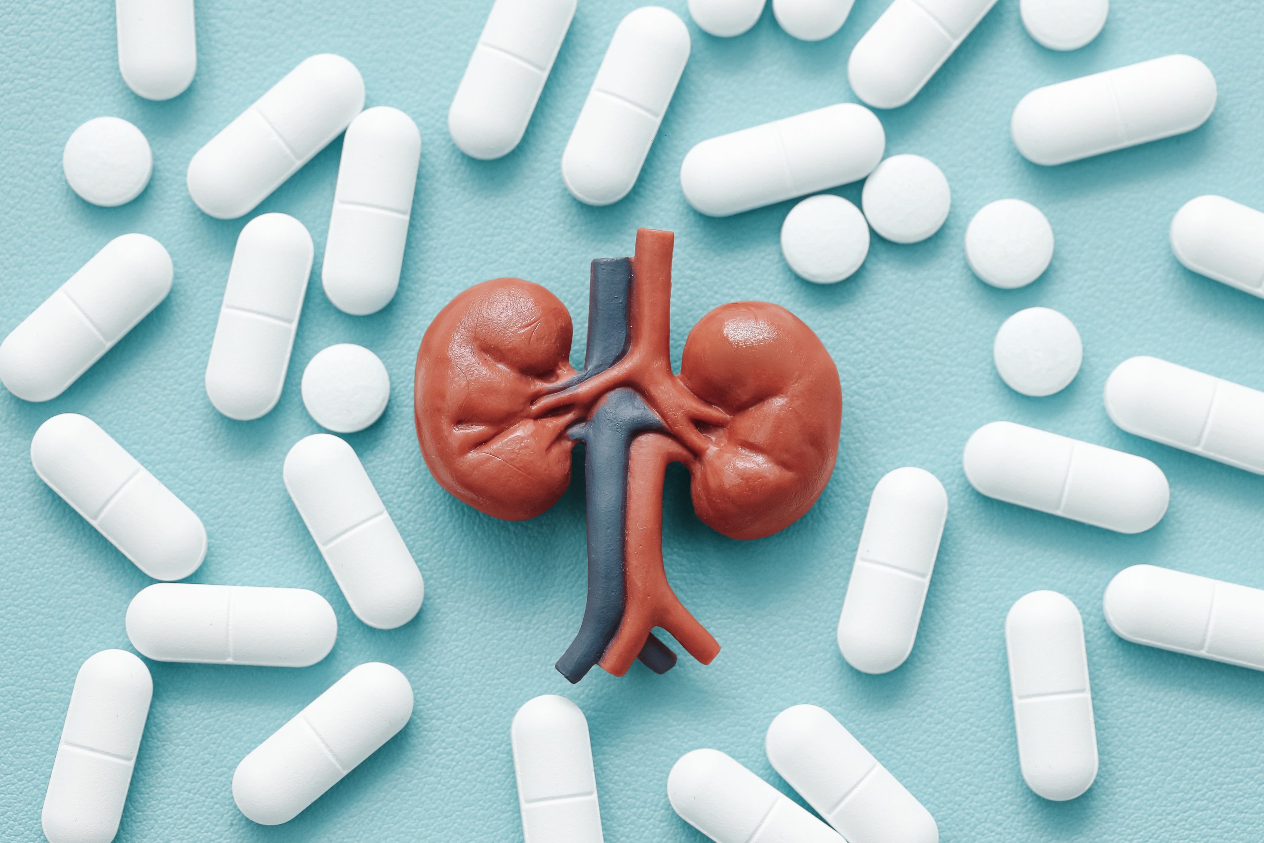Medical illustration related to Renal Function Assessment, supporting patient education and health screening.